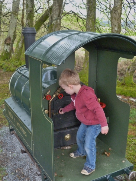 Bwlch y Geuffordd Gardens